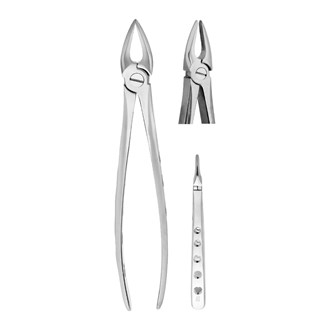 Extracting Forceps Fig.29 Upper Roots 16.5cm