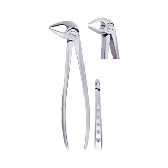 Extracting Forceps Fig.33 L Lower Roots