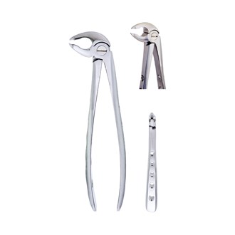 Extracting Forceps Fig.36 Lower Premolars Gripping in Depth