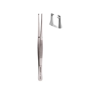 Semken-Taylor Straight 1:2 Teeth