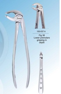 Densol Extracting Forcep Fig 36 Lower premolars gripping in dept